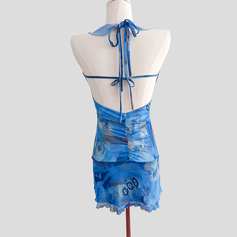 Blue Floral Print Dress with Ruffled V - neck and Chiffon Flower, Women's Party Style