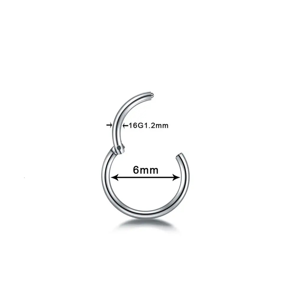 1PC Hinged Segment Ring Nose Septum Clicker Piercing Lip Earrings Helix Eyebrow Tragus Cartilage Piercings Body Jewelry 250613
