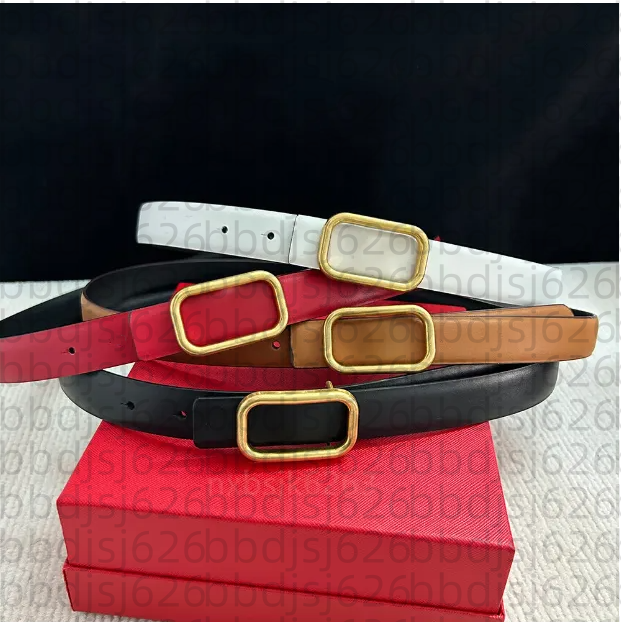 Fashion Designer Women Vintage All-match Simple With Skirt Dress Decorative Suit Pants Tucked Waist Belt High-quality Locking Buckle Tight Belts womens belt