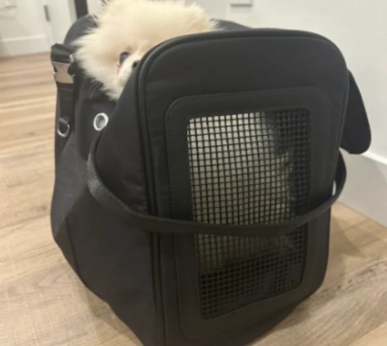 Designer Carrier Bags Luxury Cat Carrier Puppy Handbag Shoulder Bag Outdoor Dog Accessories Kitten Pet Items Backpack For Small Dogs