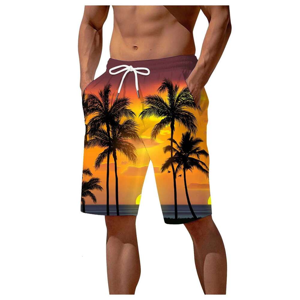 Men's Beach Summer Fashion Hawaii Patterns Drawstring Men Swim Trunks Elastic Waist 3D Print Gradient Breathable Shorts shorts