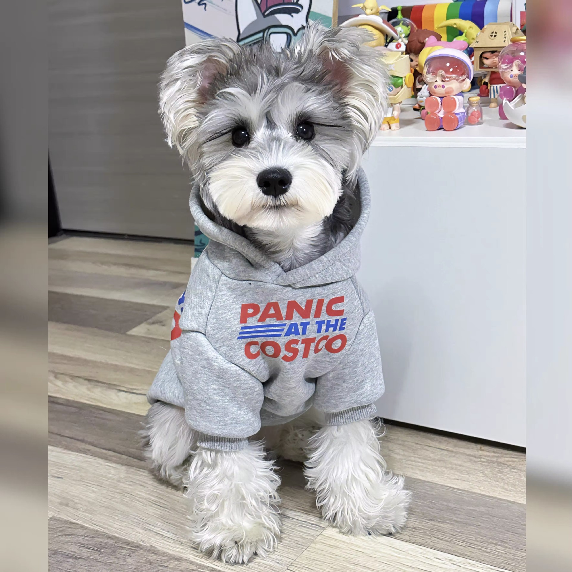 Dog Hoodie Soft and Warm Dog Sweaters, Pet Clothes Autumn Winter Coat Sweatshirt with PANIC COSTCO Print for Puppy, Cat, Small Medium Dogs L A598