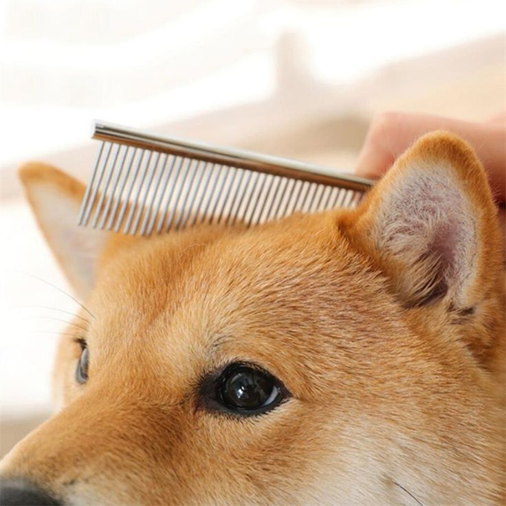 Pet Grooming Brush Comb Tools For Dog Clean Brushes Pin Cat Brush Stainless Steel Dogs Comb Metal Pet Product 4 Sizes