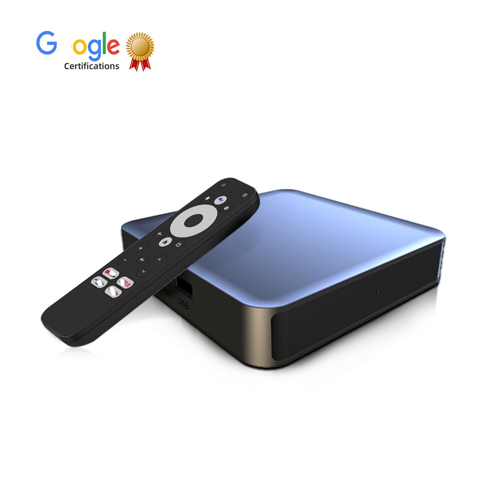 Dcolor GD2 TV Box Android 12 Amlogic S905Y4 2GB 32GB Support AV1 1080P H.265 4K Wifi BT Voice Input Media Player