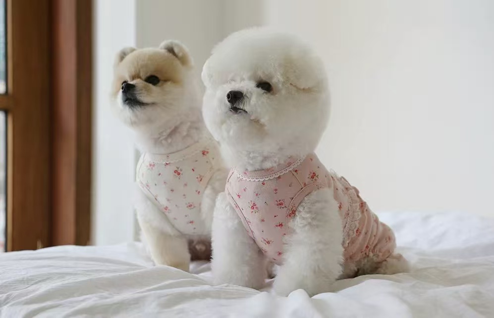 T543 Cute little flower one-piece two-legged clothes pure cotton dog home clothes Bichon Teddy Pomeranian summer clothes