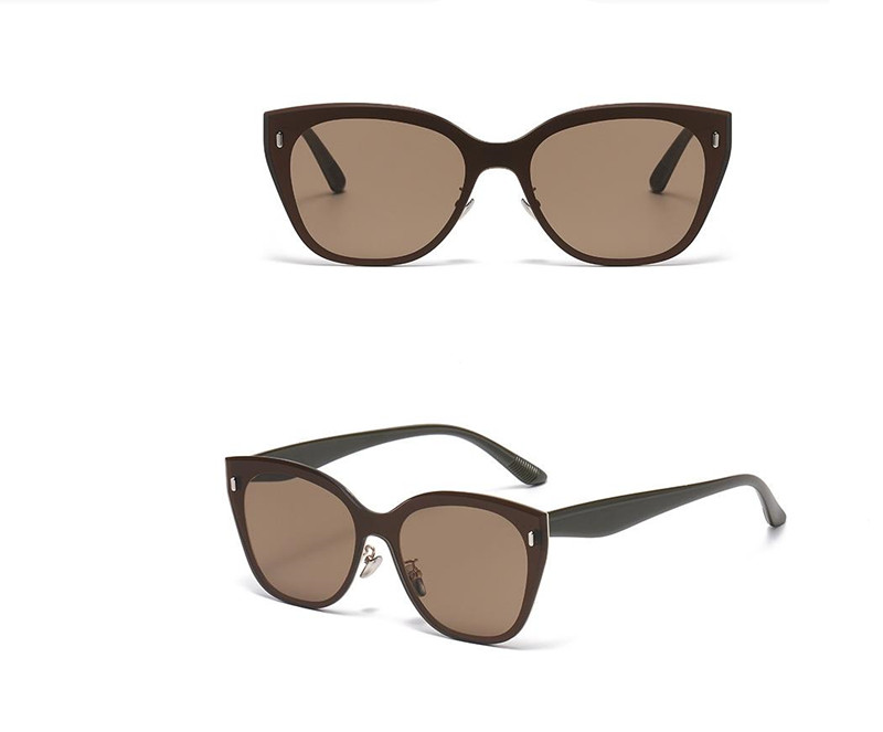 Designer Sunglasses For Women Men Large Frame Cat Eye Sunglasses Women UV Sunglasses Polarized Lens Goggle Pilot PC Frame