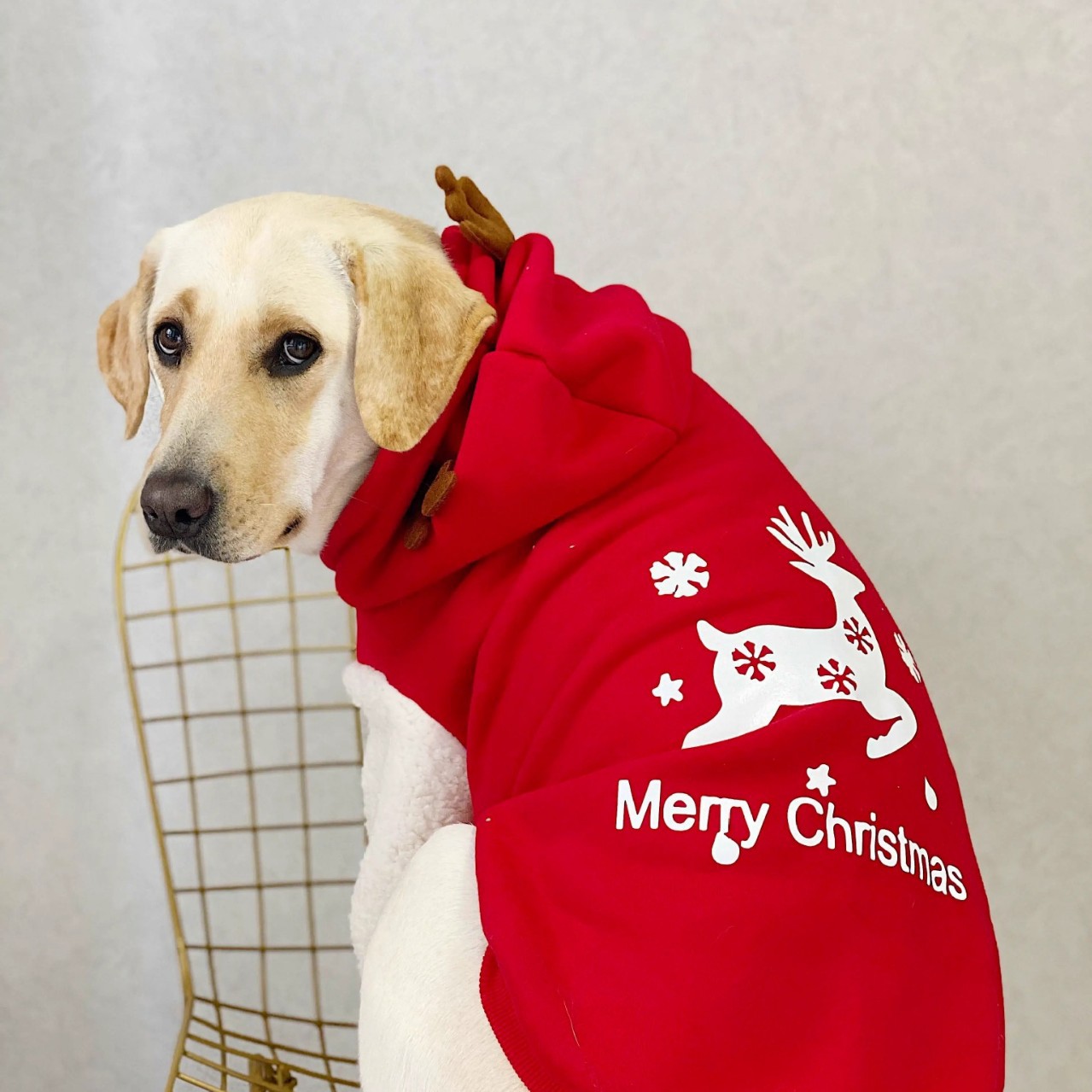 Christmas Dog Sweater Hoodie, Dog Christmas Reindeer Hoodie Puppy Outfit for Small to Large Dogs, Soft and Comfy Coral Fleece Dog Christmas Coats 6XL 