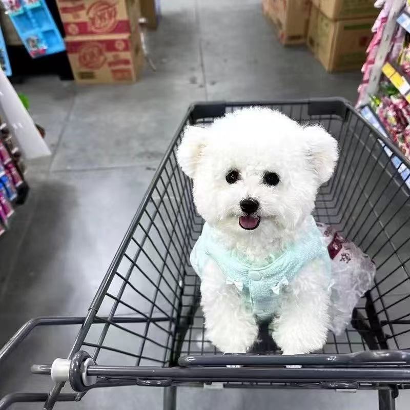 T545 Pet clothes autumn and winter new velvet quilted bow puffy skirt Teddy Bichon dog cat skirt