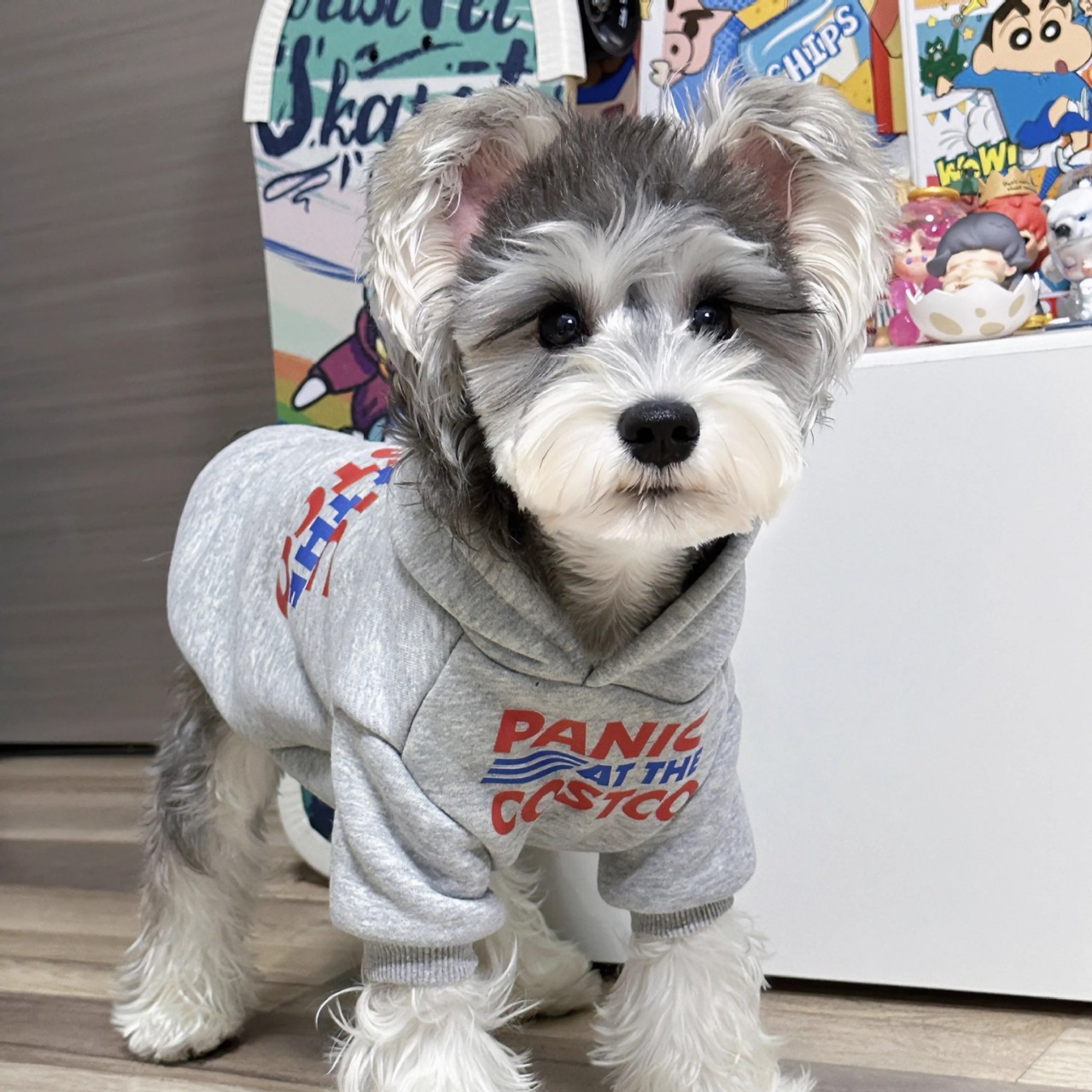 Dog Hoodie Soft and Warm Dog Sweaters, Pet Clothes Autumn Winter Coat Sweatshirt with PANIC COSTCO Print for Puppy, Cat, Small Medium Dogs L A598