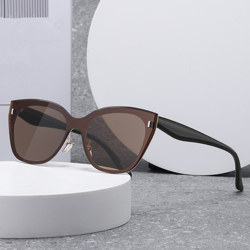 Designer Sunglasses For Women Men Large Frame Cat Eye Sunglasses Women UV Sunglasses Polarized Lens Goggle Pilot PC Frame