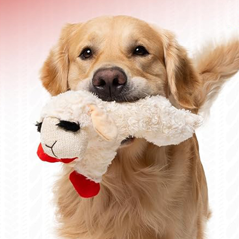 Pet toys that make sounds, are chewy and can relieve boredom, dog plush toys, cute dream sheep, bb cries, and companion dolls