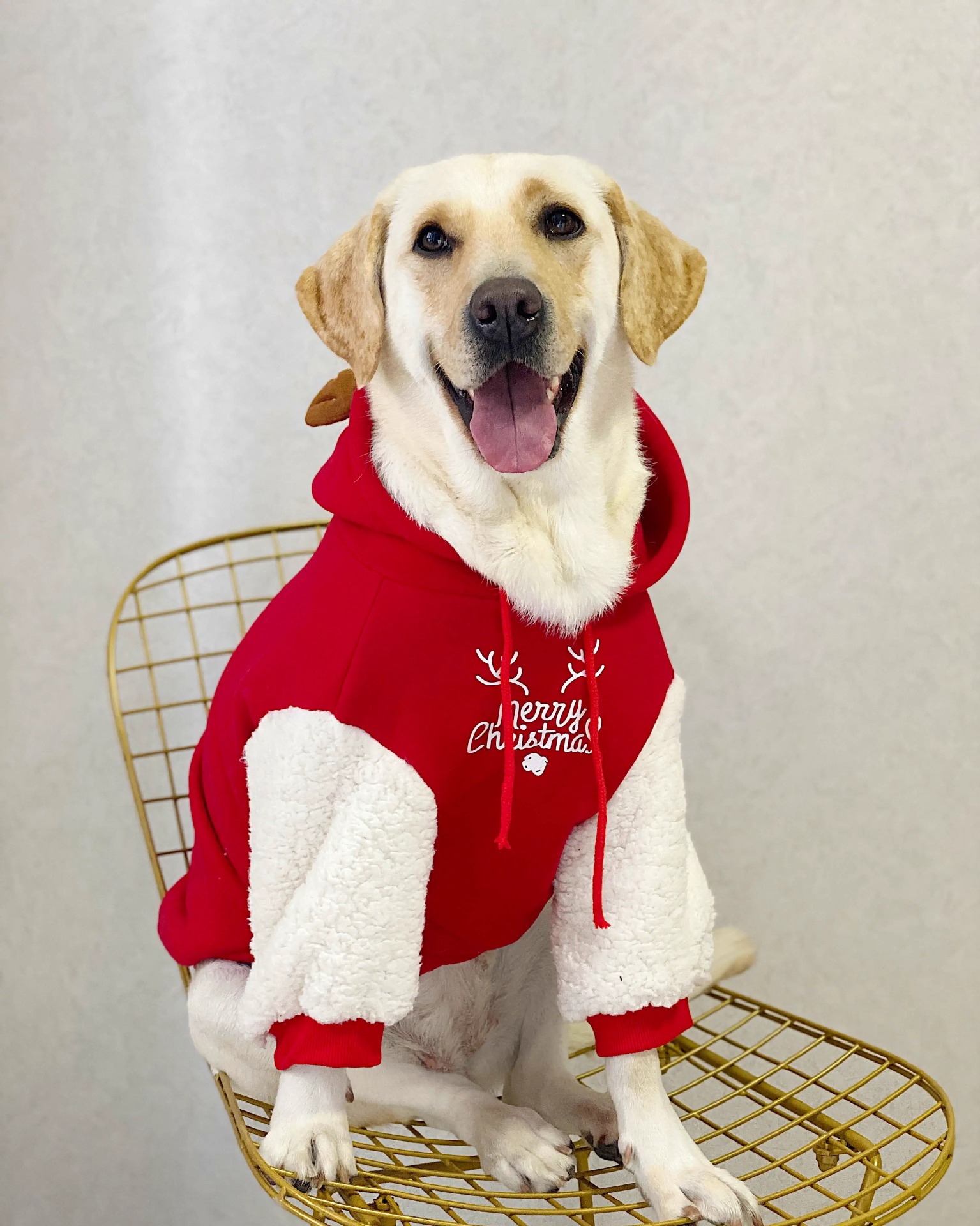 Christmas Dog Sweater Hoodie, Dog Christmas Reindeer Hoodie Puppy Outfit for Small to Large Dogs, Soft and Comfy Coral Fleece Dog Christmas Coats 6XL 