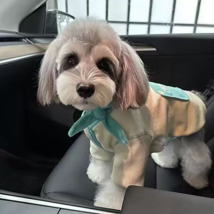 T540 Autumn/Winter Doggie Jacket by T540: Soft German Fabric Heated Hoodie Suit