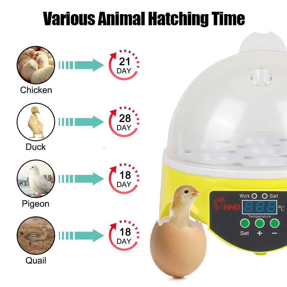 Brooder 7 Egg for Chicken Duck Bird Adjustable Digital Temperature Poultry Incubator Mini Egg Incubator Farm Hatchery 250624