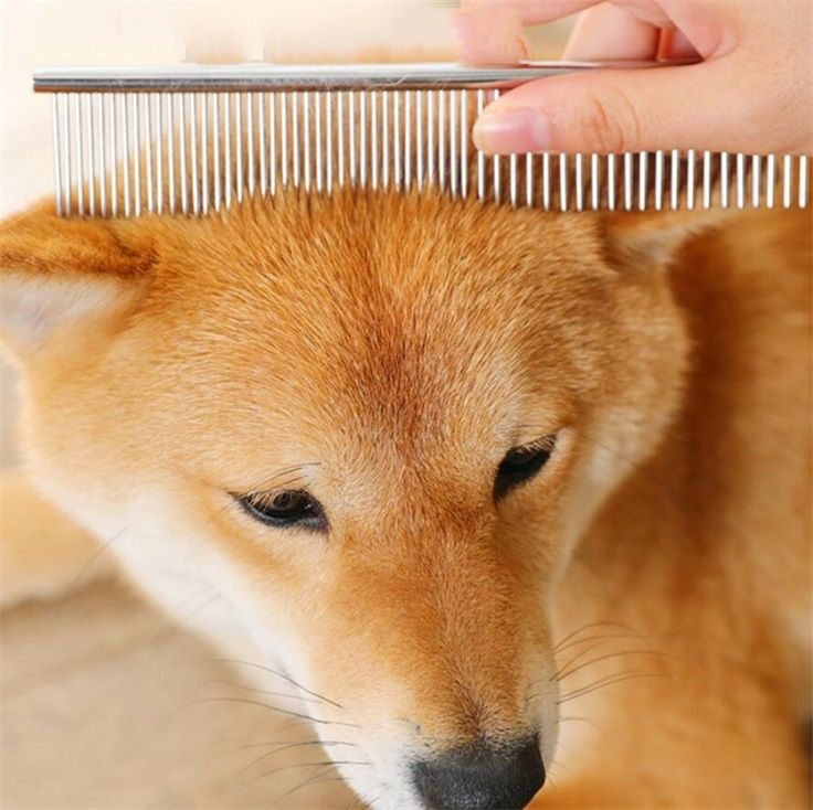Pet Grooming Brush Comb Tools For Dog Clean Brushes Pin Cat Brush Stainless Steel Dogs Comb Metal Pet Product 4 Sizes