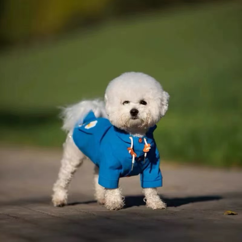 T546 Pet dog jacket Teddy Bichon Internet celebrity autumn and winter new Schnauzer small dog windproof clothes jacket