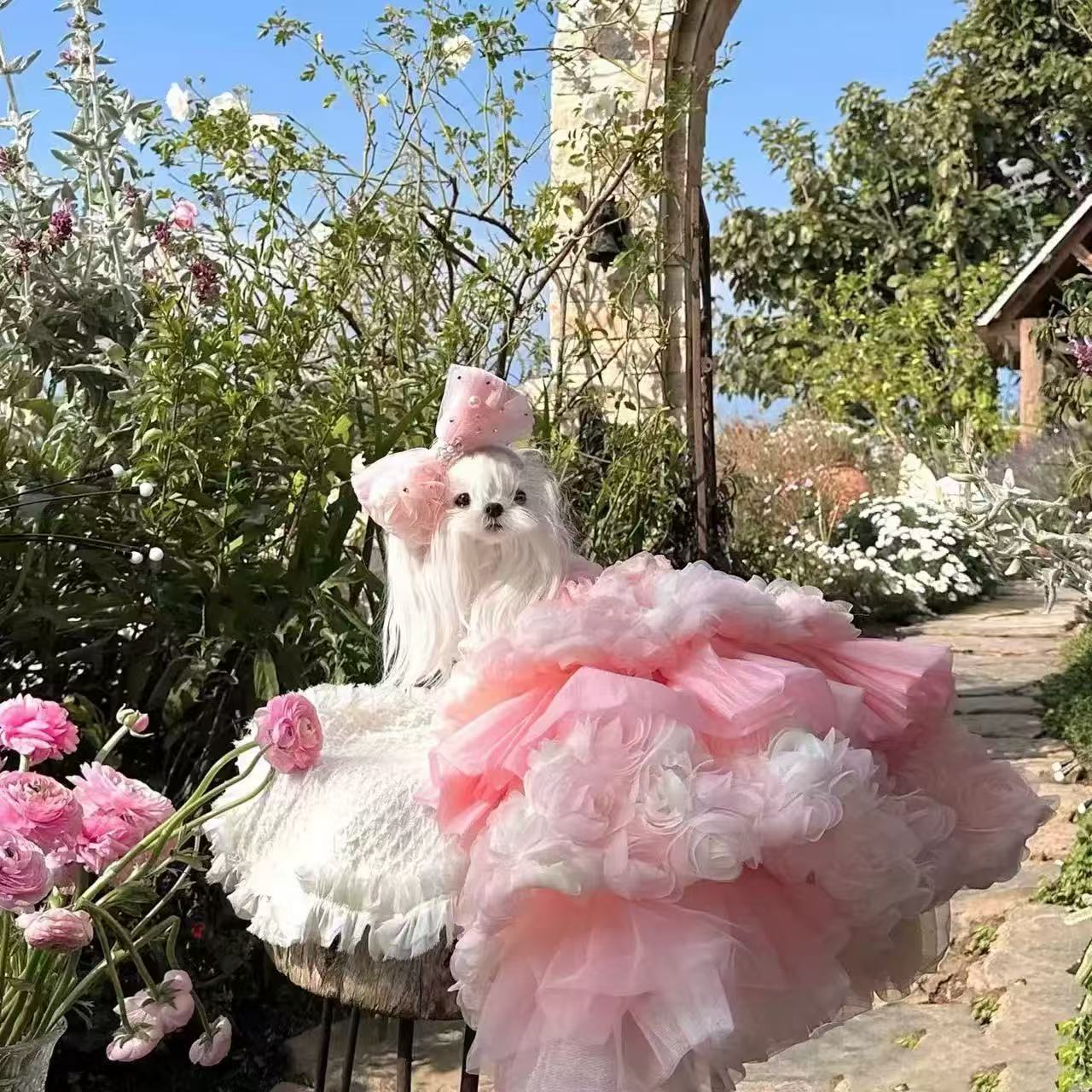 T541 Pet heavy industry dress skirt wedding dress photo wedding dedicated