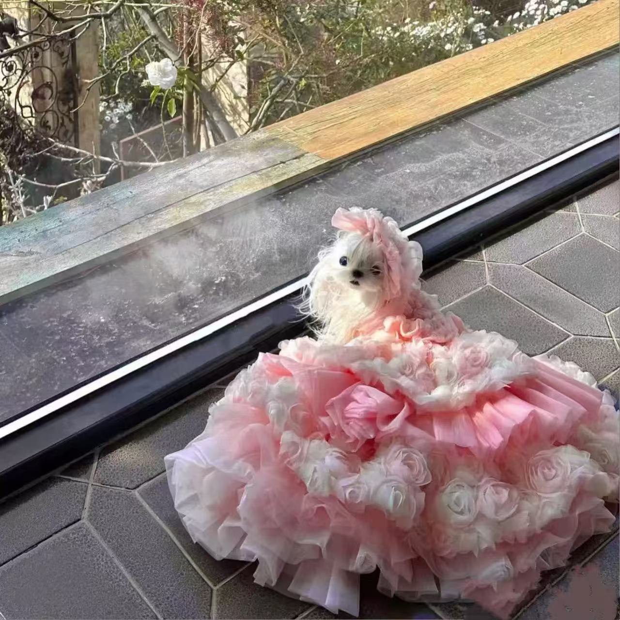 T541 Pet heavy industry dress skirt wedding dress photo wedding dedicated