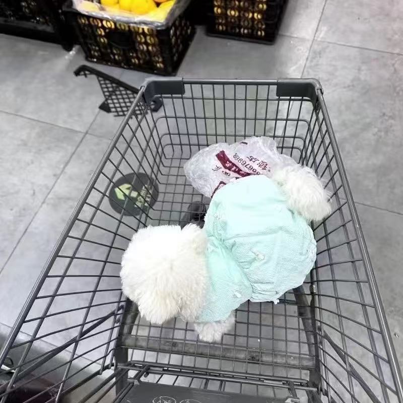 T545 Pet clothes autumn and winter new velvet quilted bow puffy skirt Teddy Bichon dog cat skirt