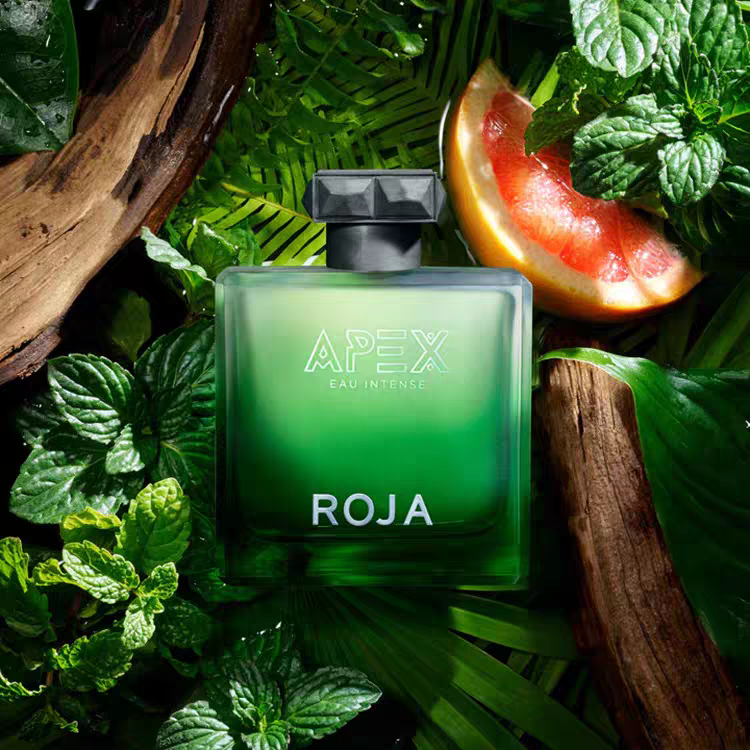 Roja Perfume Elysium Man Intense Long Lasting Smell Spray Cologne Spray 3.4oz Men Women Neutral Perfume High Quality Fast Shipping