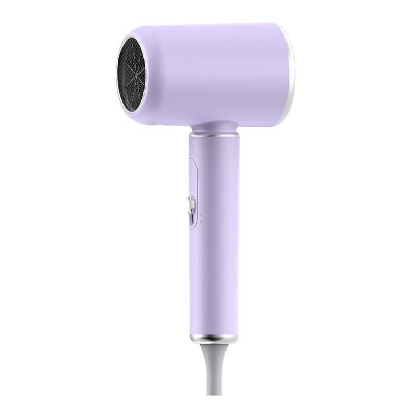 dryers anion blower mute hairdryer care electric hair drier quickdry safety egative ionic professional salon blow powerful travel