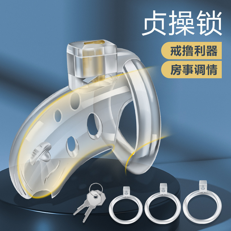 Mystery Princess Chastity Lock Male Use Couple Shared Masturbator Adult Sexy Toys Box Size: 135/box