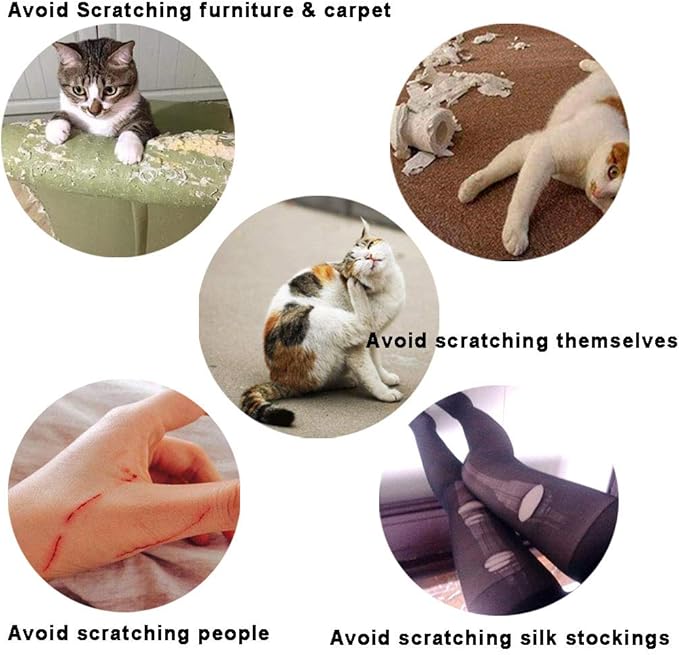 Cat Nail Caps, 20 Colors with Glue and Applicators, Safe for Cat Claw Care, Protect Homes and Furniture, Prevent Scratch Disease, Long-lasting, Skin-f