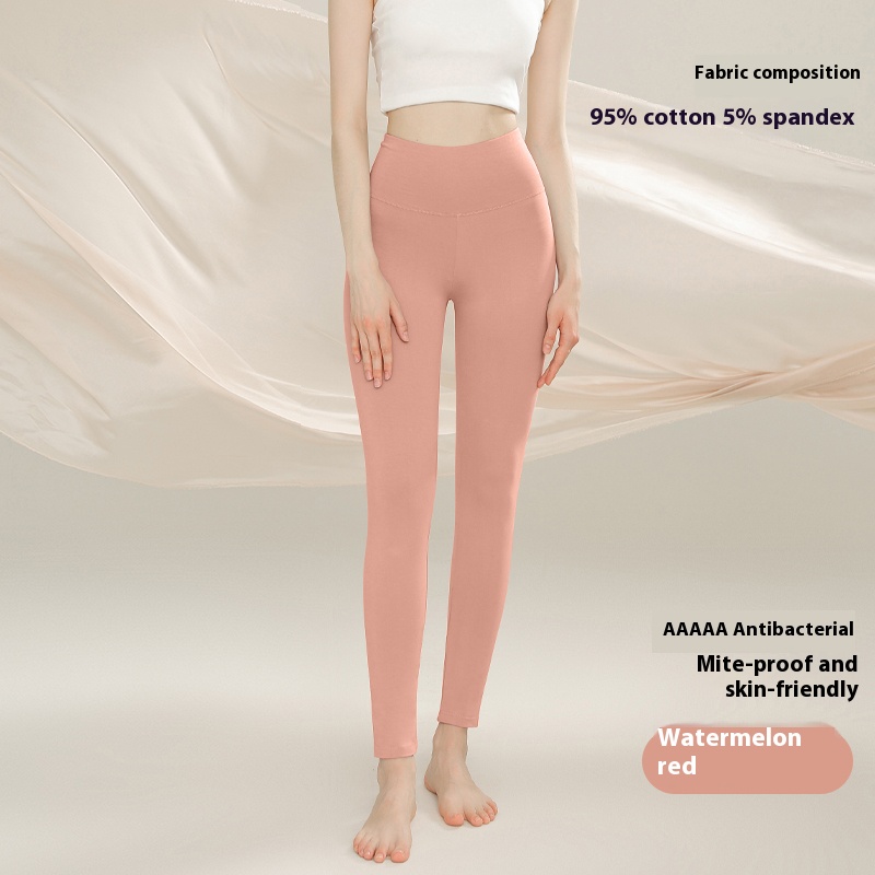 Women's thermal underwear high-waisted trousers combed cotton antibacterial autumn and winter thermal trousers belly pure cotton bottoms