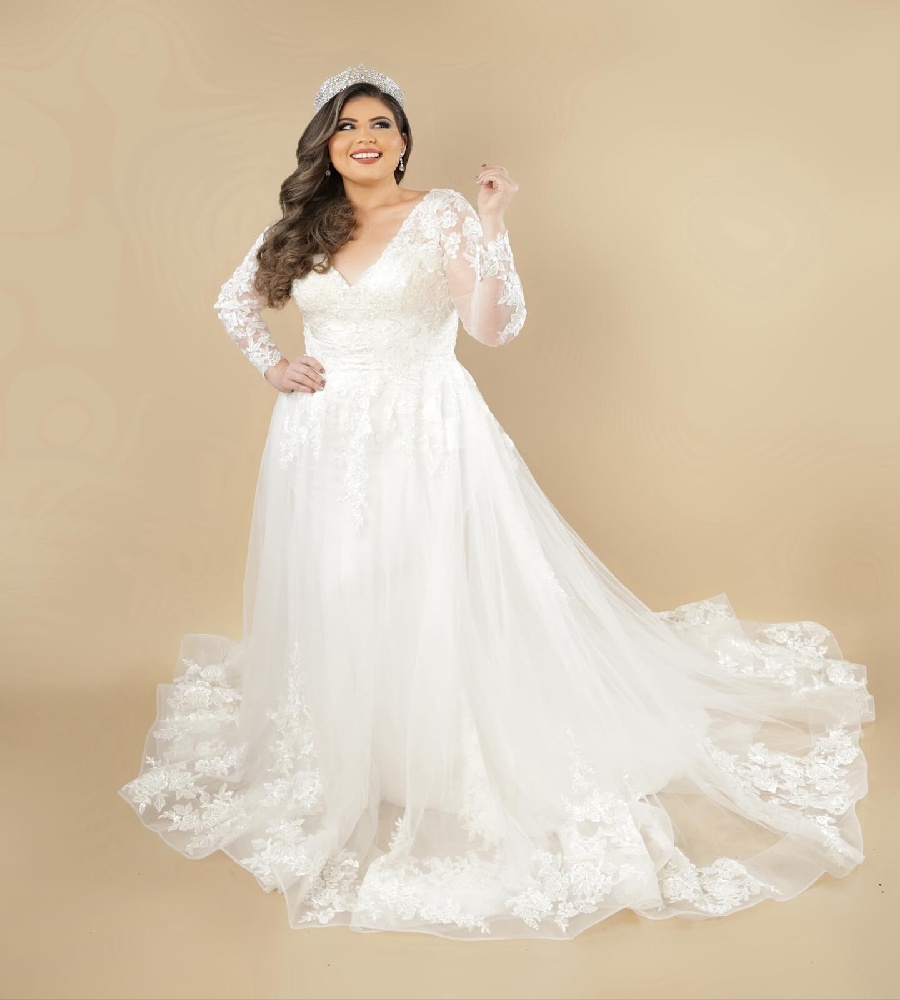 Elegant Curvy Boho Lace Wedding Dress 2025 V Neck Long Sleeve Beach Bridal Dress A Line Tulle Bohemian Bride Dress Plus Size Vestido De Noiva Casament