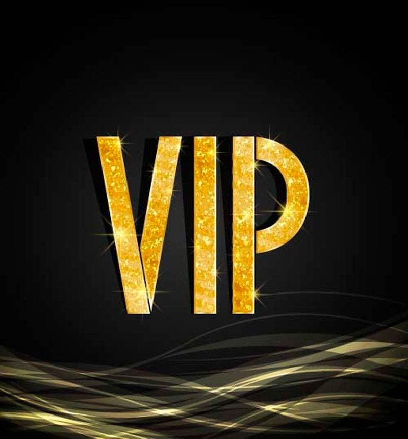 wholesale VIP customers customize exclusive secure payment links