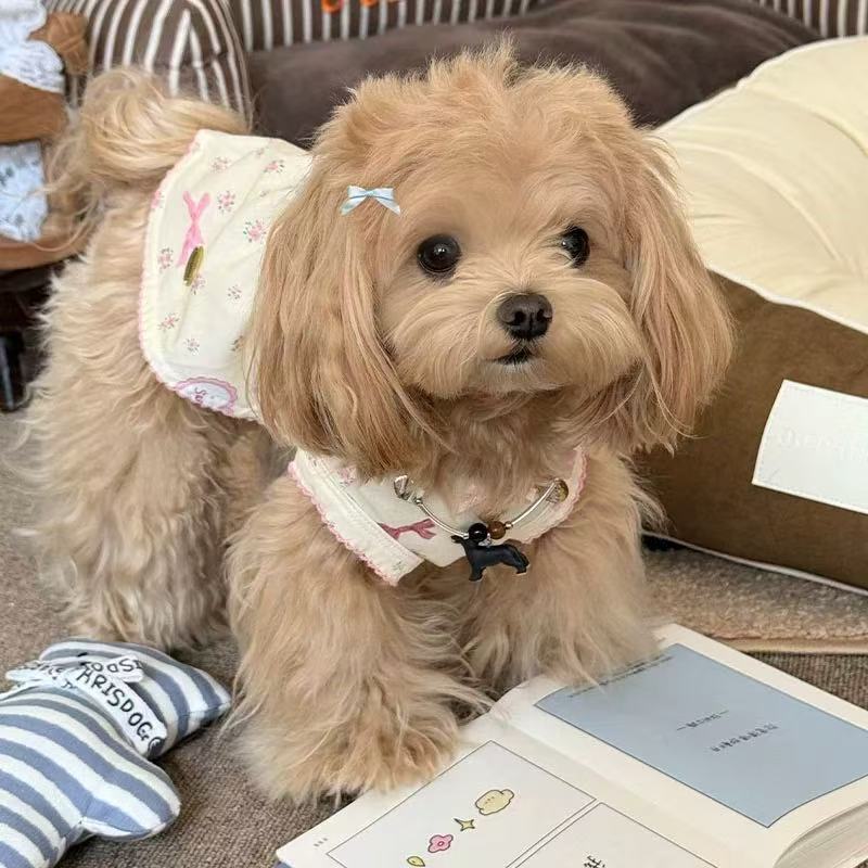 T558 Pet for dogs and cats summer sweet floral vest dress home cute small dog clothes