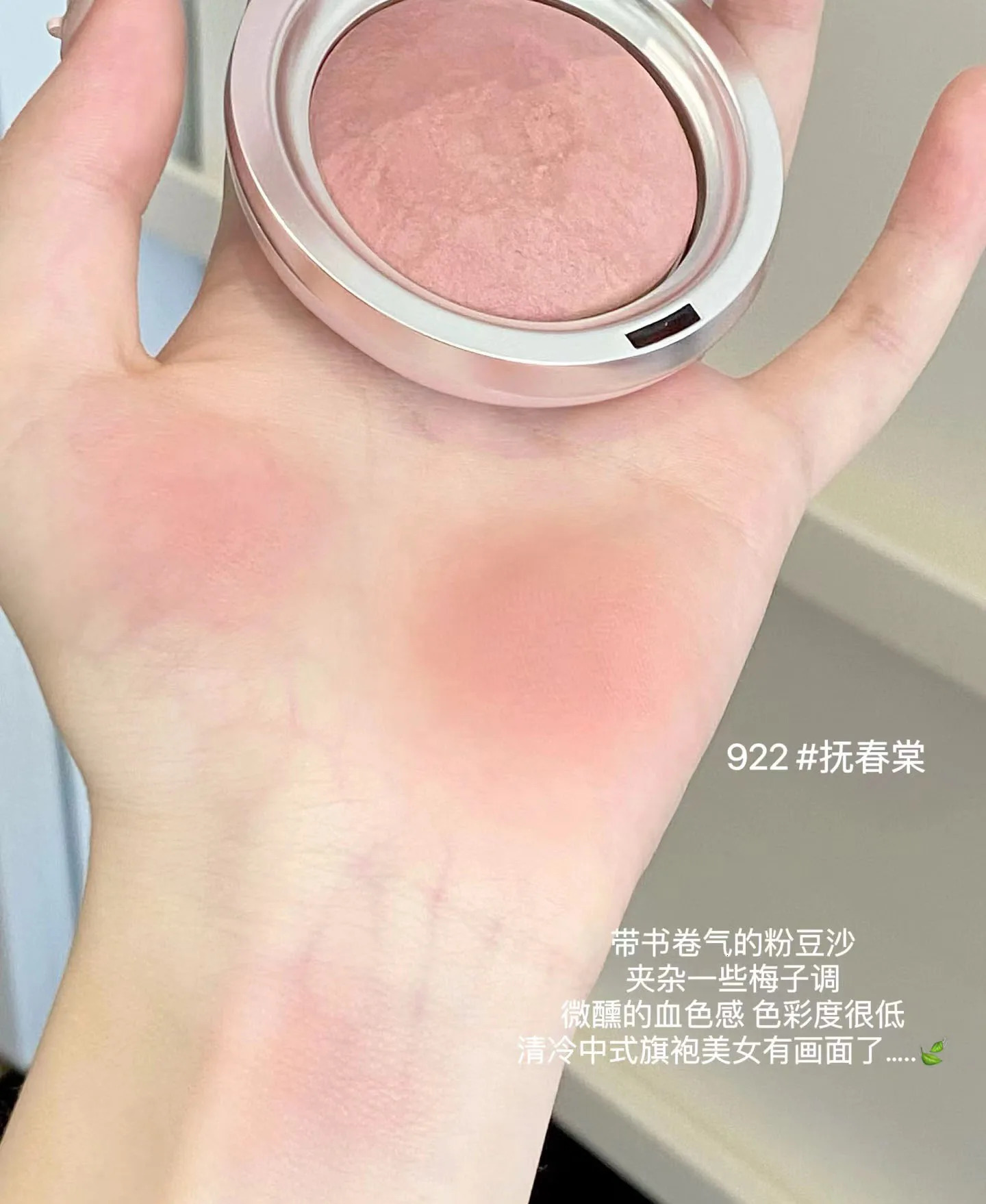 SPENNY Baking Blusher Matte Soft Mist Powder Large Capacity Shrink Expand Color Naturally Brightening Highlight Cheek 6.2g 250626