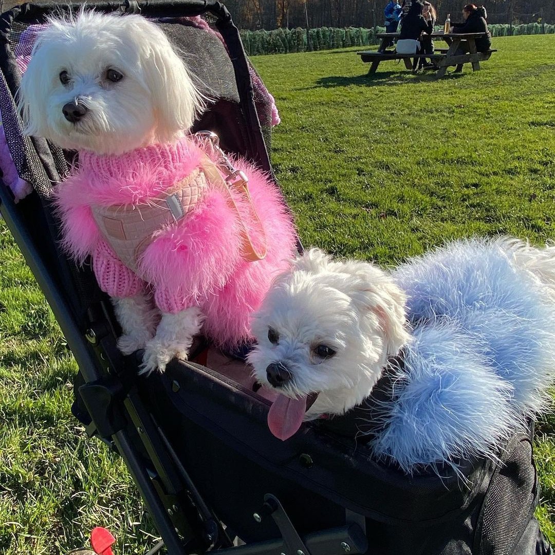 Faux Fur Dog Sweaters for Small Medium Dogs, Cold Weather Super Soft Fall Fleece Dog Clothes Sweatshirt, Turtleneck Plush Knitted Warm Cold Weather Co