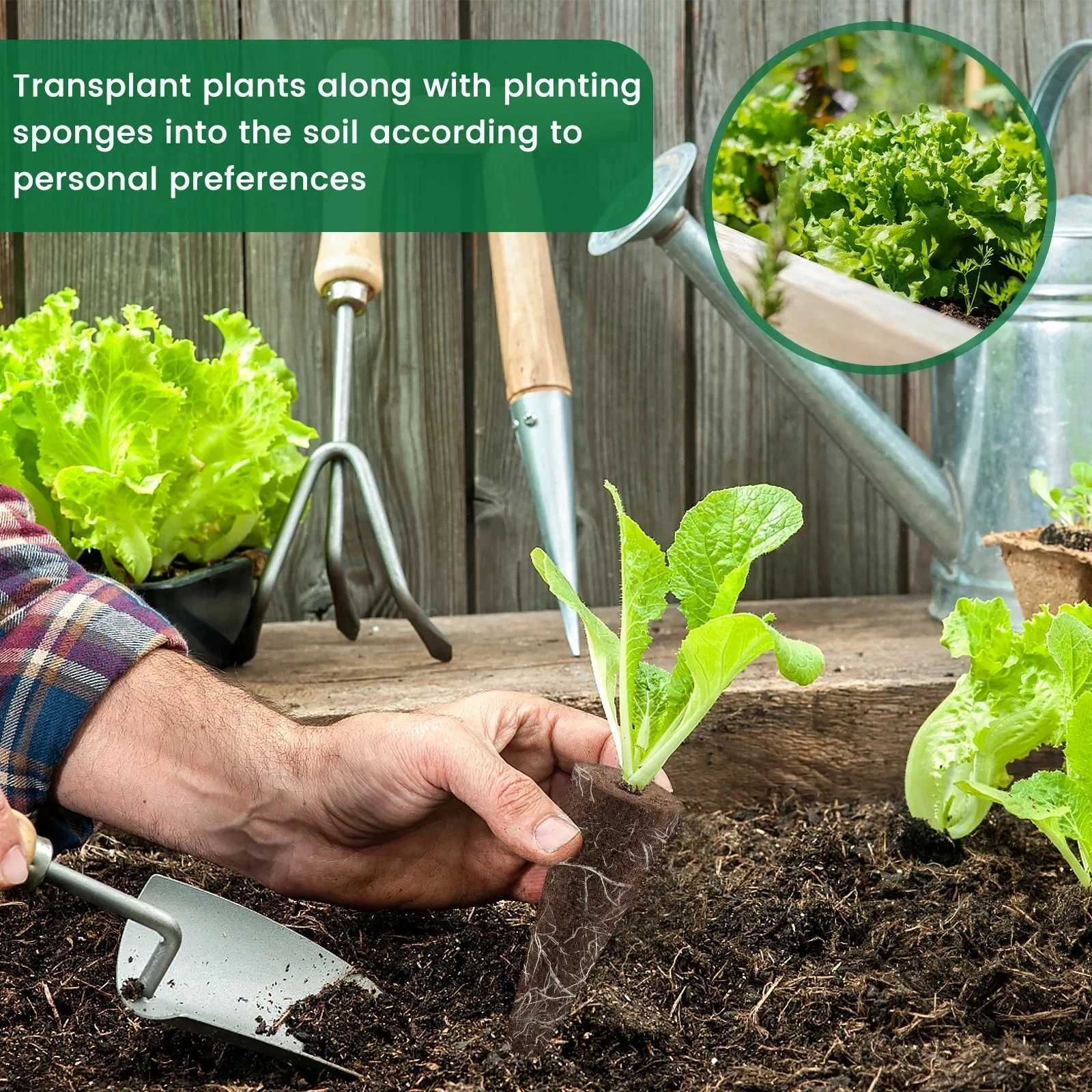 50/100Pcs Seed Grow Sponges Replacement Root Hydroponics Indoor Garden System Sponges Water Absorbent Grow Pod Kit X250627 - view 6