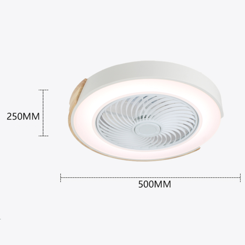 Artistic Ceiling Fan Light - 3 Colors, 6 Speeds, Modern LED Combo