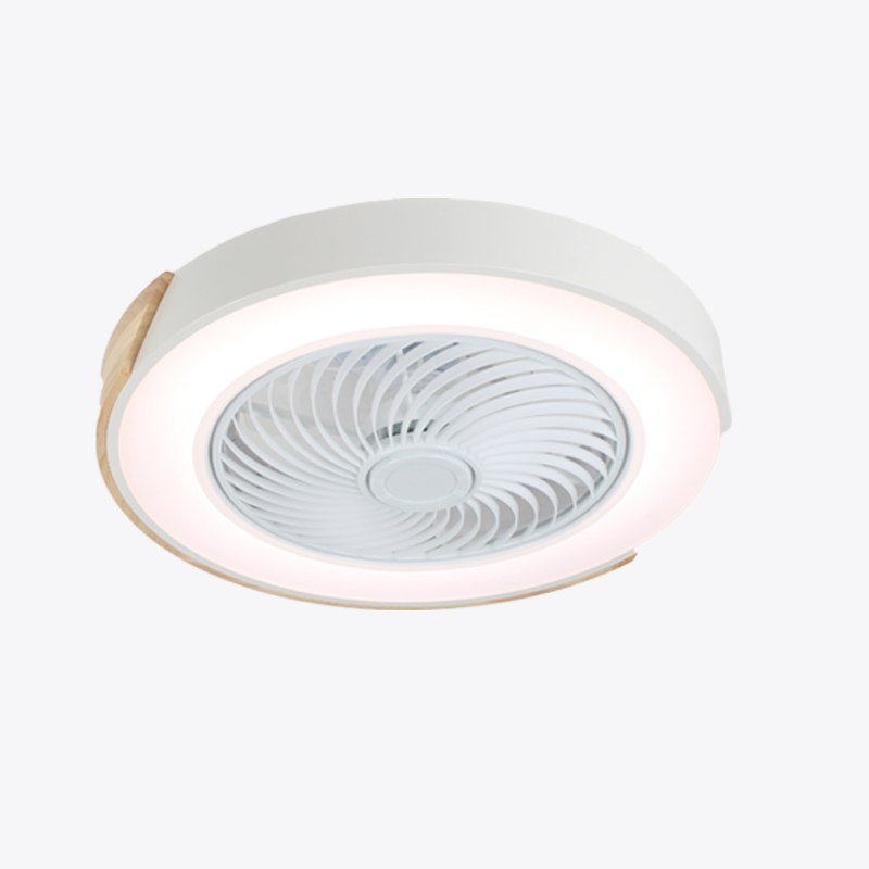 Artistic Ceiling Fan Light - 3 Colors, 6 Speeds, Modern LED Combo