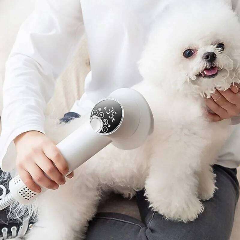 Professional Hair Dryer Cat Puppy Hot Cold Wind Air Brush Strong Power Special Drying hine Dog Supplies Pet Products