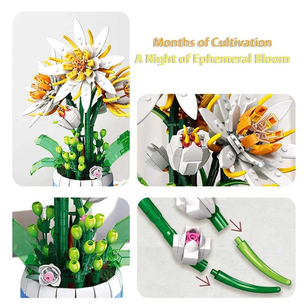 KNEW BUILT Creative 3D Epiphyllum Potted Building Block Toy-Uplift Mood with LoveIdeal Holiday Gift For GirlDecorate Your Home Y250627