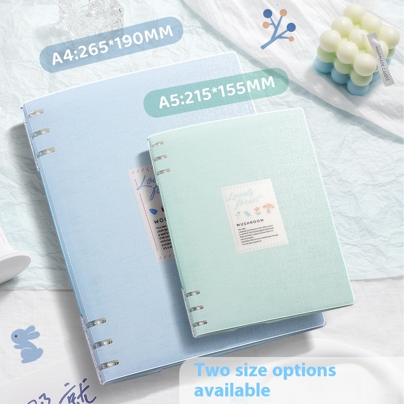 Thickened Detachable Ring Binder Non-Hand-Pressing B5 Loose-Leaf Notebook for Middle and High School Students