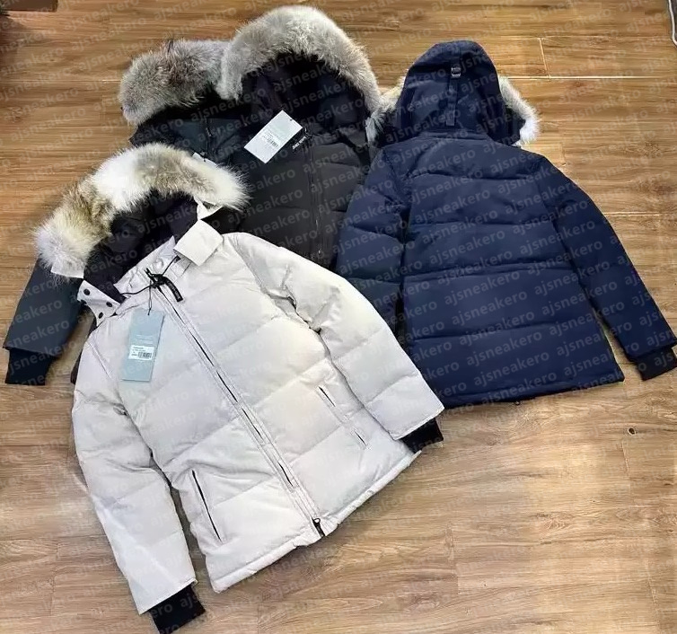 Coat Designer Women Winter Down Jackets Designer Femme Puffer Outdoor Windbreaker Jassen Veste Outerwear Hooded Fourrure Manteau Down Coat Hiver Parka Doudoune