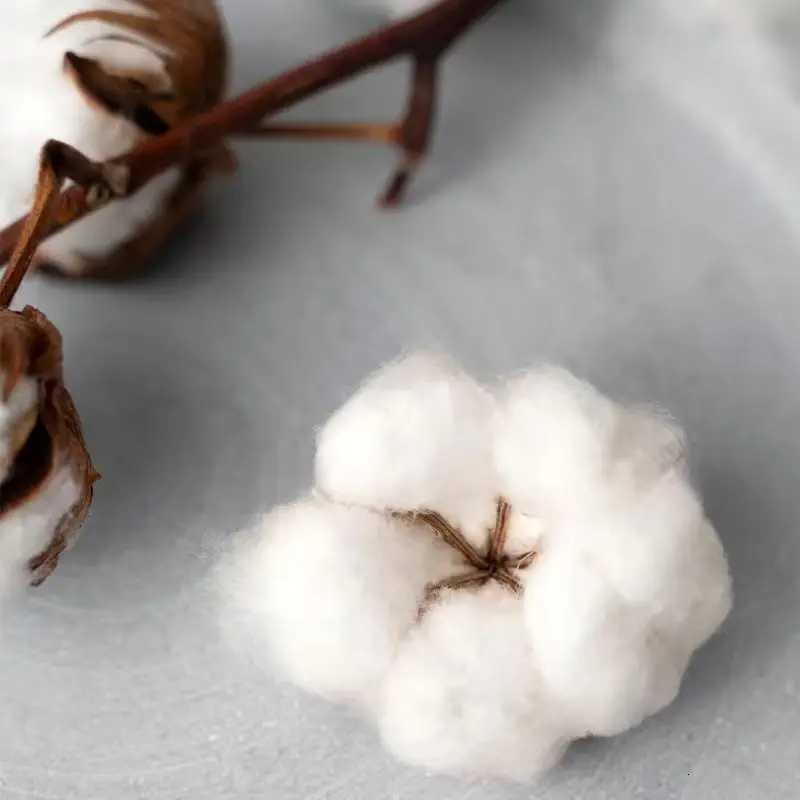 OsamaSon Jump Out The Album Graphic T Shirts 2025 Merch TShirts Cotton Women Men HipHop Streetwear Short Sleeve Y2K Tee SummerXJ250929