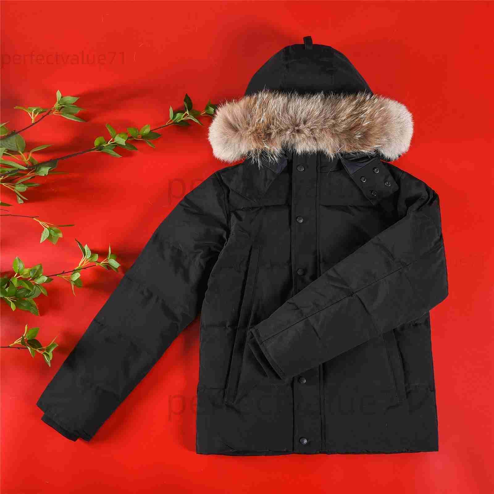 Winter goose Chaquetas fur hooded leather Canadians winter down jacket mens parka coat 34