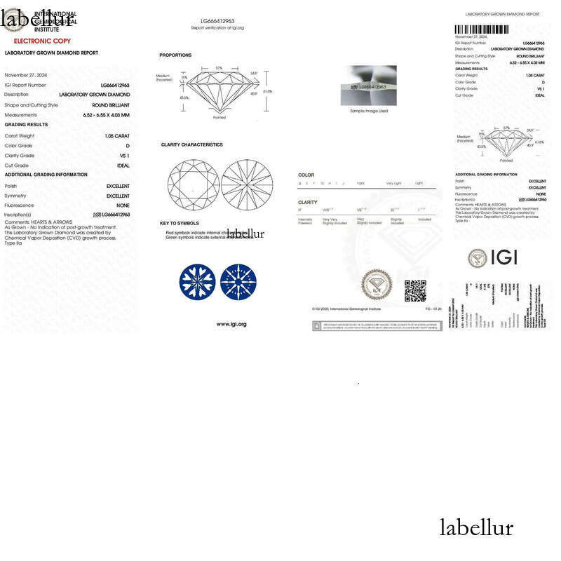 Shine 1CT 2CT IGI Certified CVD Lab Laboratory 14K White Solid Gold D VS1 LAB Grown Dia Earrings for Women f3