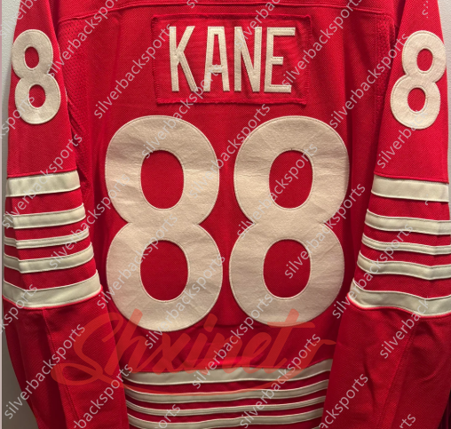 71 Dylans Larkins detroites hockey jersey wingsS jersey 88 Patrick Kane Alex DeBrincat Moritz Seider Carter Bear Steve Yzerman John Gibson Lucas Raymo
