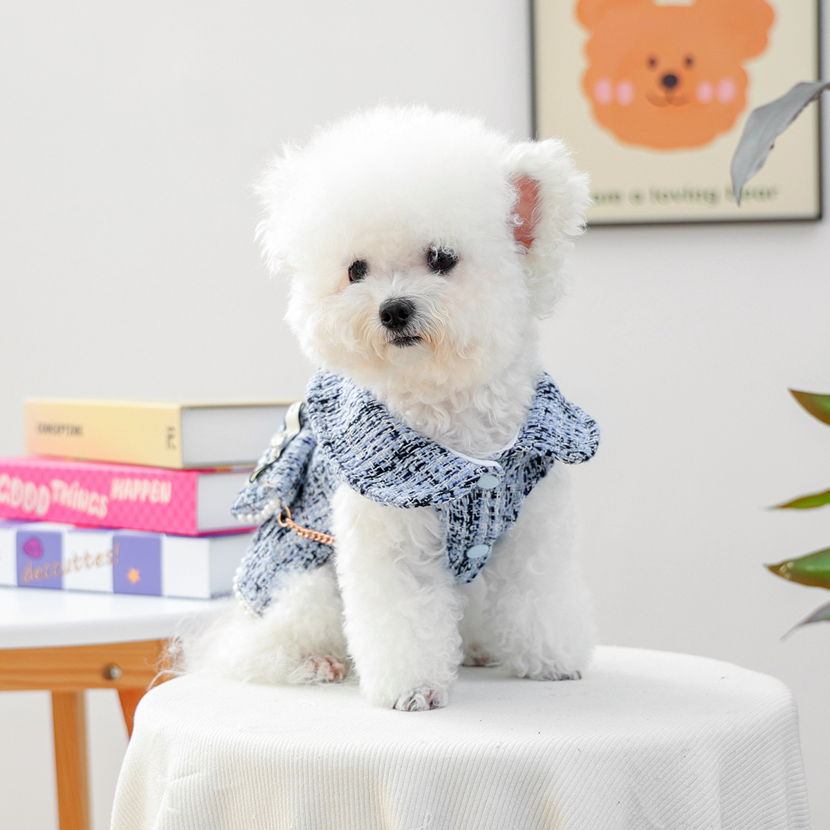 K3104 Pet dress with backpack, autumn and winter clothes for puppies and cats, can hold snacks and toys, small Chanel style imitation tweed fabric
