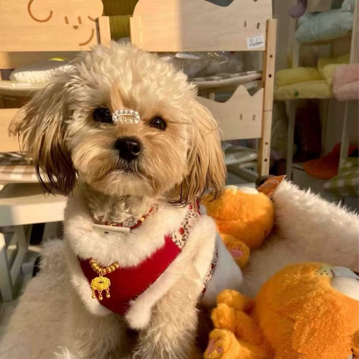 T1111 Dog autumn and winter clothes cat plush princess Tang suit New Year festive fur traction small pet warm