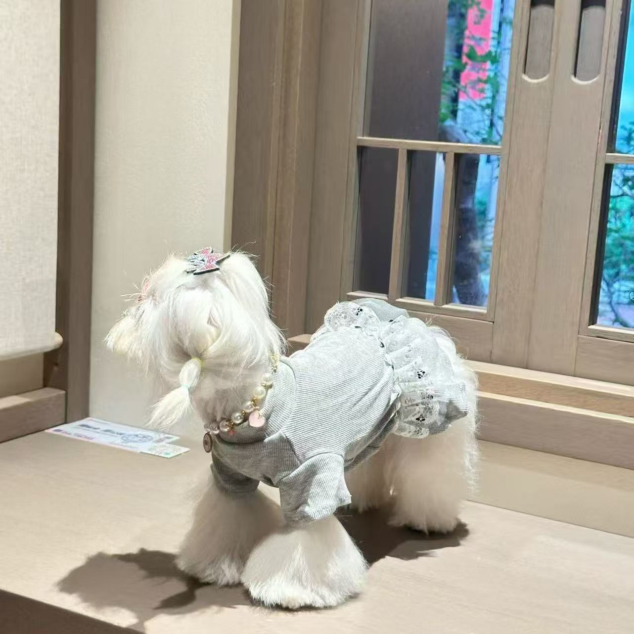 TTT High-grade gray lace dress Bichon Pomeranian cat and dog universal autumn new product