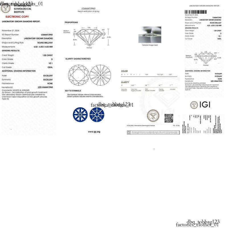 Shine 1CT 2CT IGI Certified CVD Lab Laboratory 14K White Solid Gold D VS1 LAB Grown Dia Earrings for Women