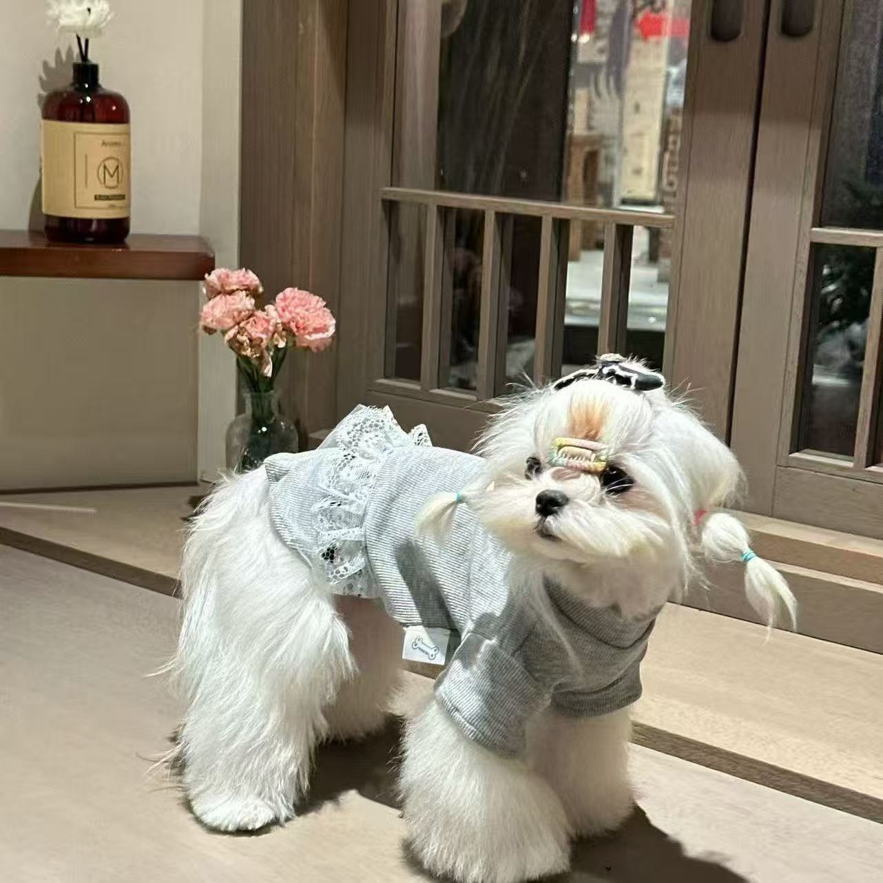 TTT High-grade gray lace dress Bichon Pomeranian cat and dog universal autumn new product