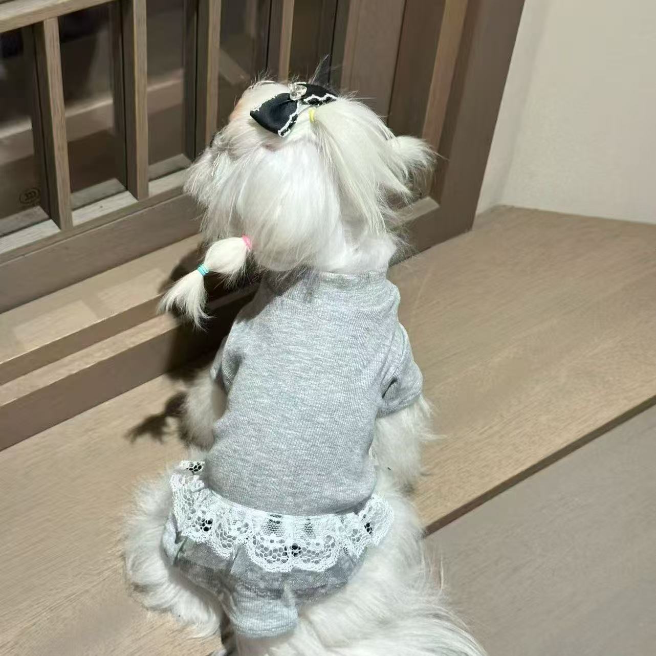 TTT High-grade gray lace dress Bichon Pomeranian cat and dog universal autumn new product